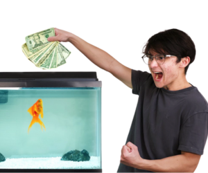 Michael Reeves goldfish: a teljes sztori